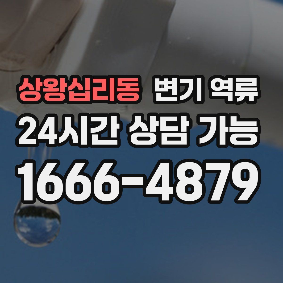 상왕십리동 변기 역류 정기 점검이 필요한 집의 특징