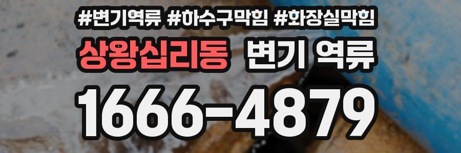 상왕십리동 변기 역류