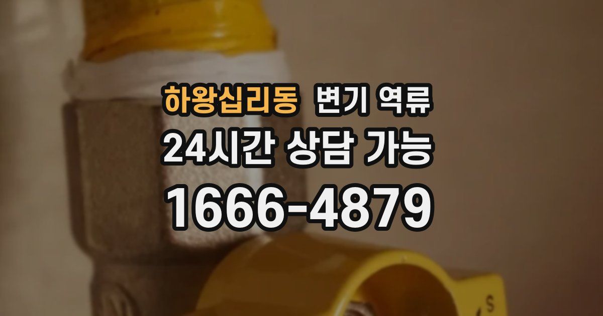 하왕십리동 변기 역류