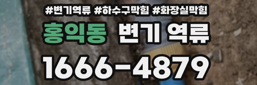 홍익동 변기 역류