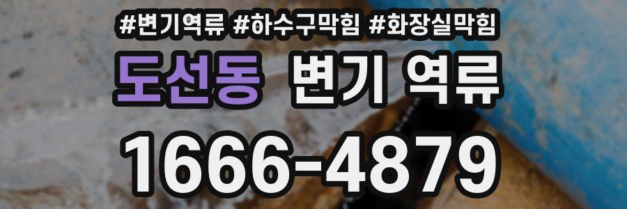 도선동 변기 역류