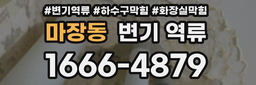 마장동 변기 역류