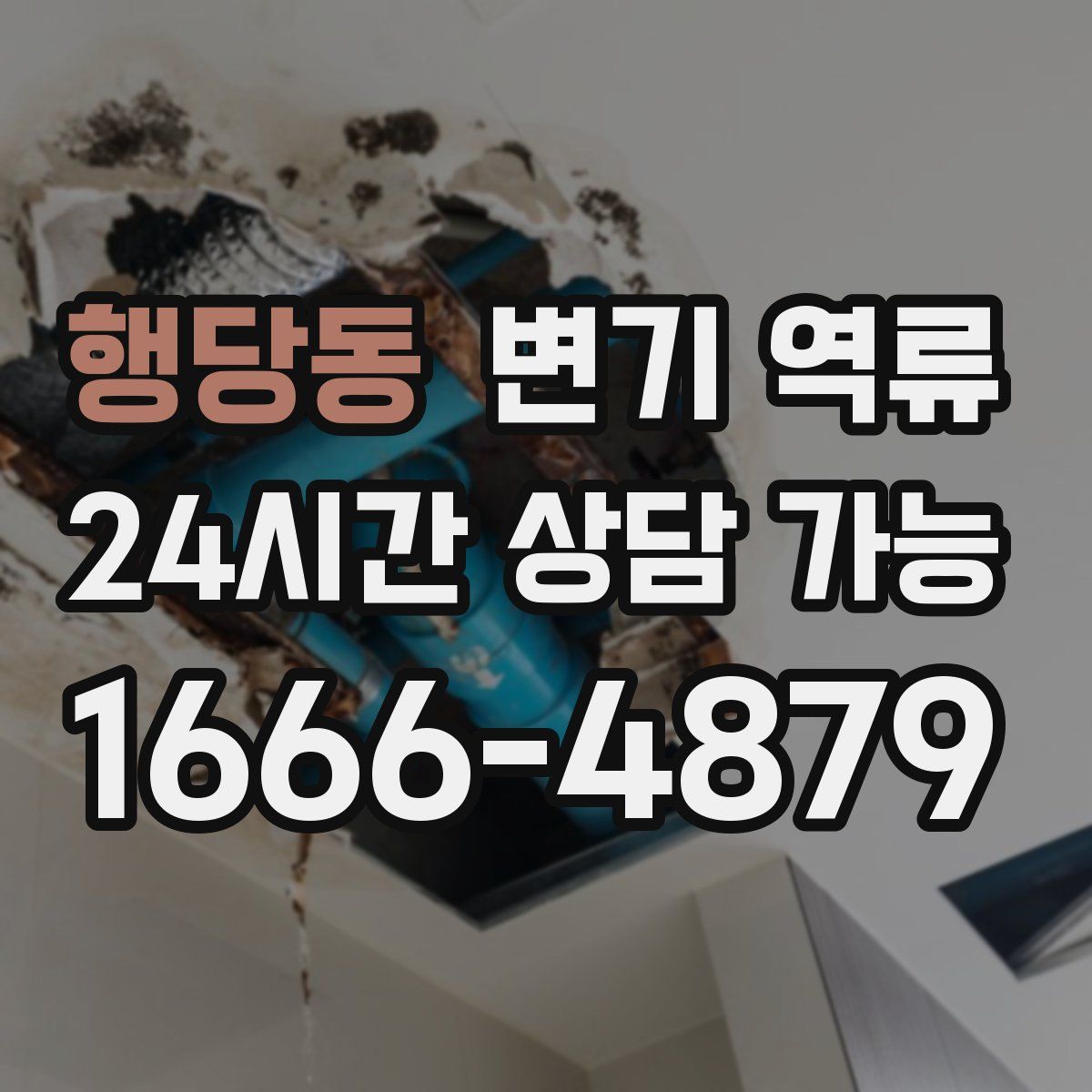 행당동 변기 역류