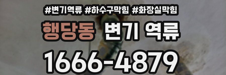 행당동 변기 역류
