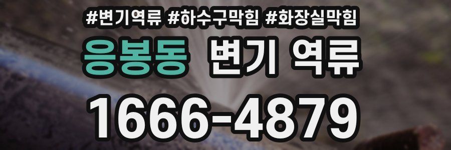 응봉동 변기 역류