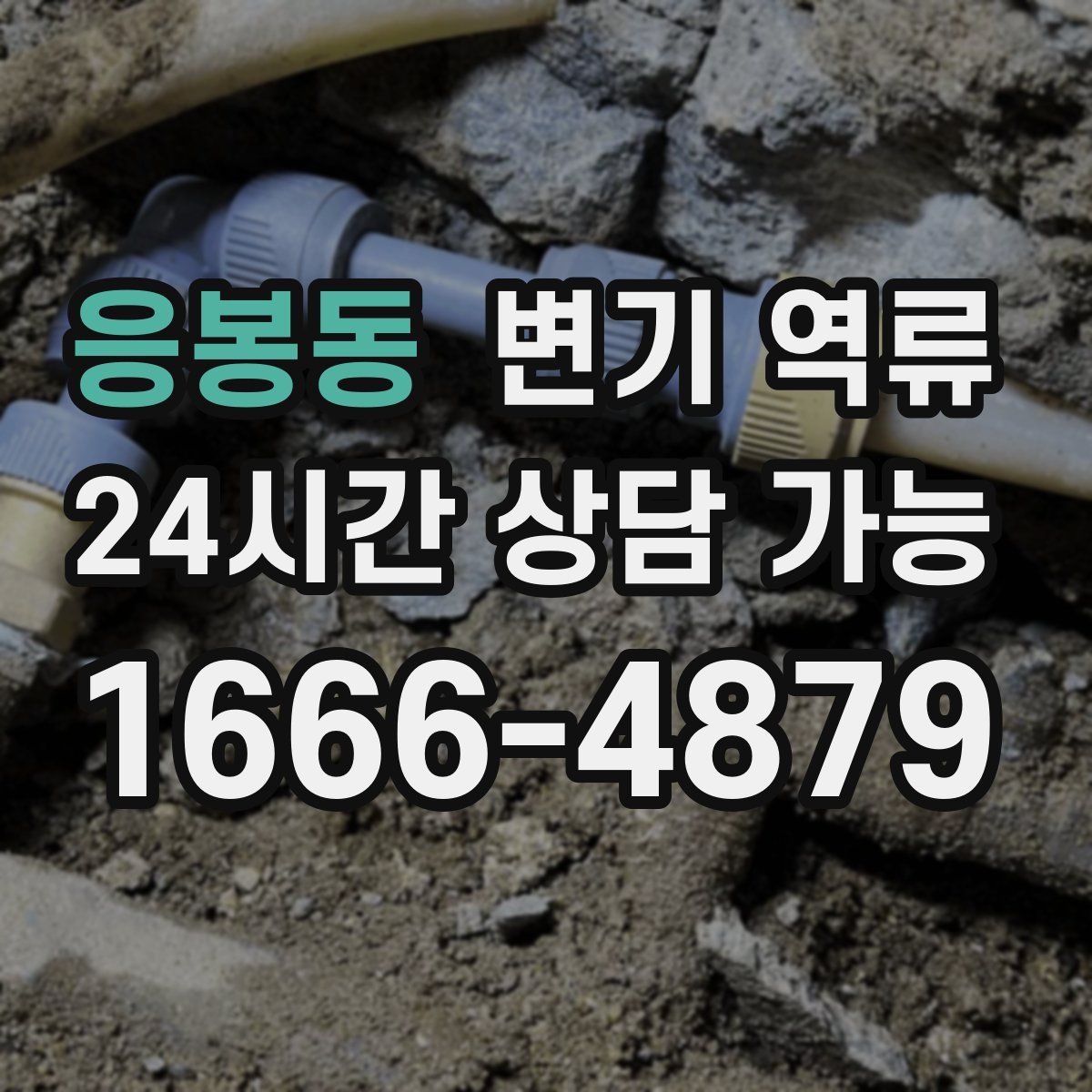 응봉동 변기 역류