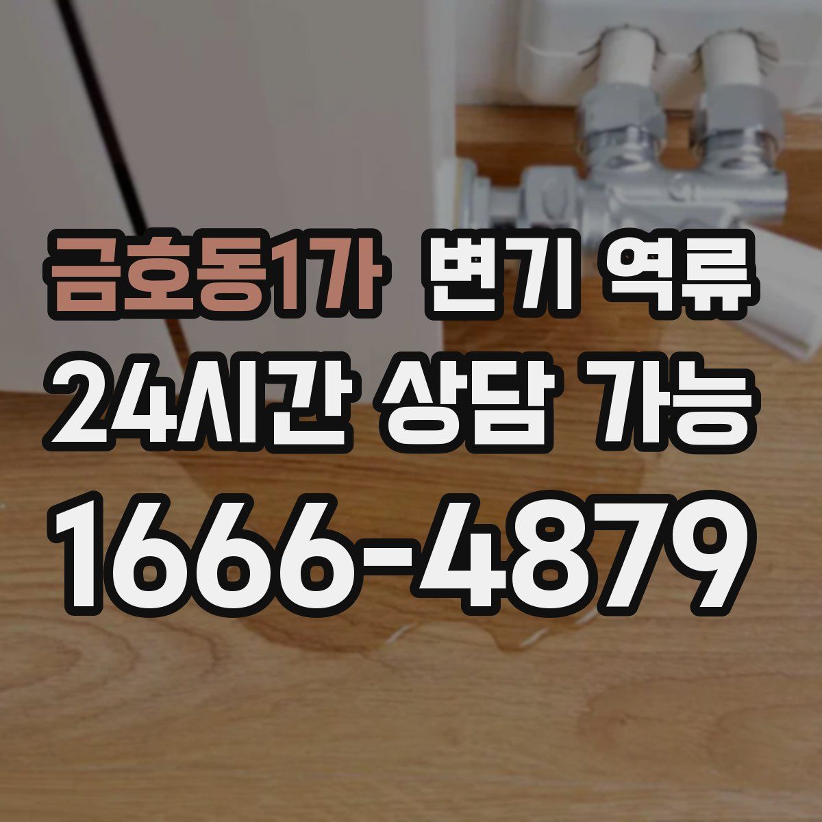 금호동1가 변기 역류