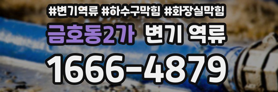 금호동2가 변기 역류