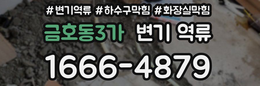 금호동3가 변기 역류