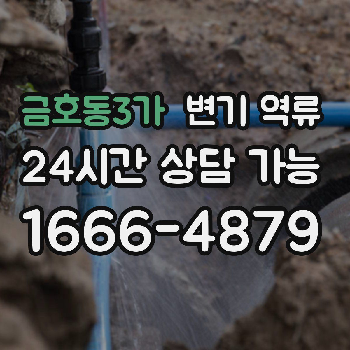 금호동3가 변기 역류