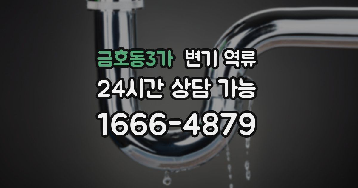 금호동3가 변기 역류