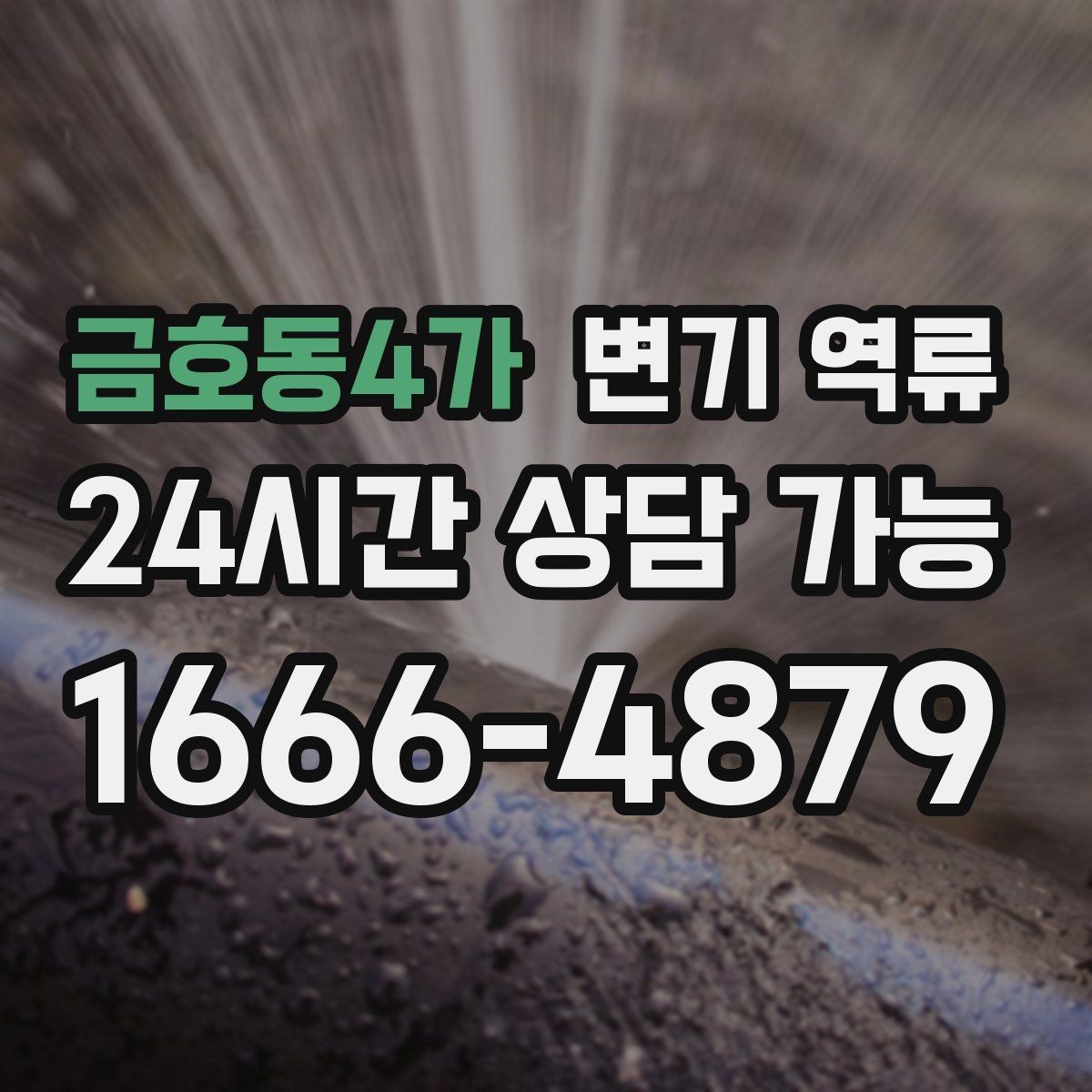 금호동4가 변기 역류 통기 문제로 생기는 증상 정리