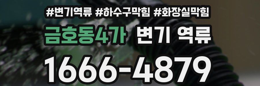 금호동4가 변기 역류