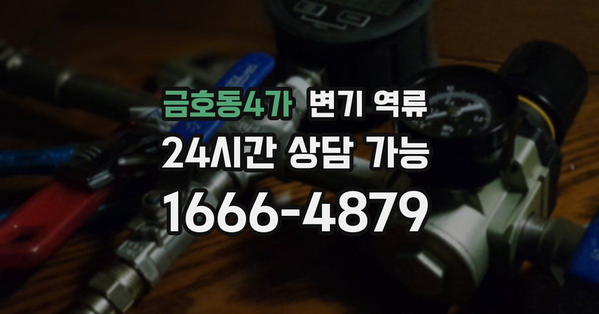 금호동4가 변기 역류