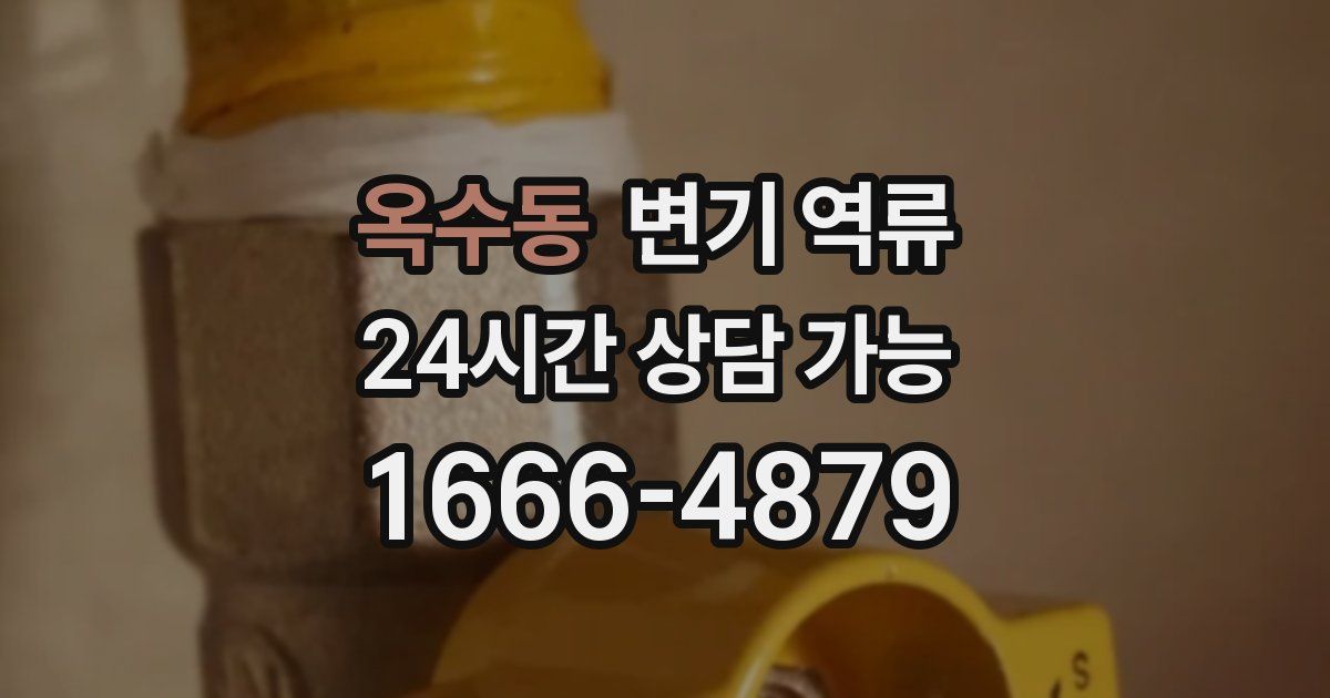 옥수동 변기 역류