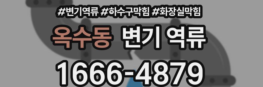 옥수동 변기 역류