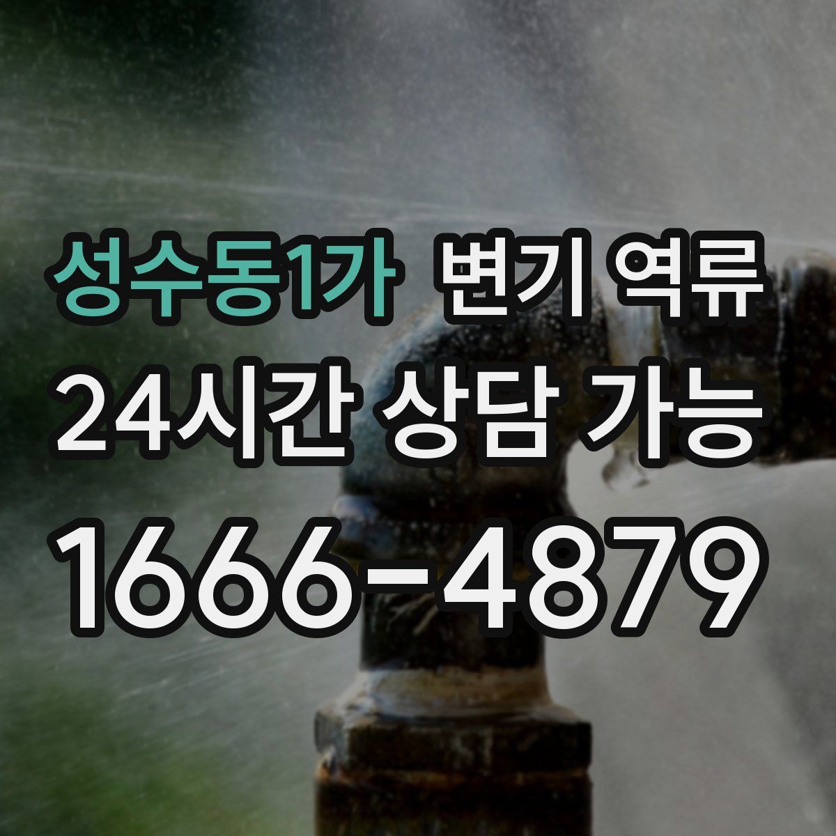 성수동1가 변기 역류