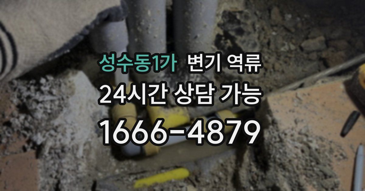 성수동1가 변기 역류