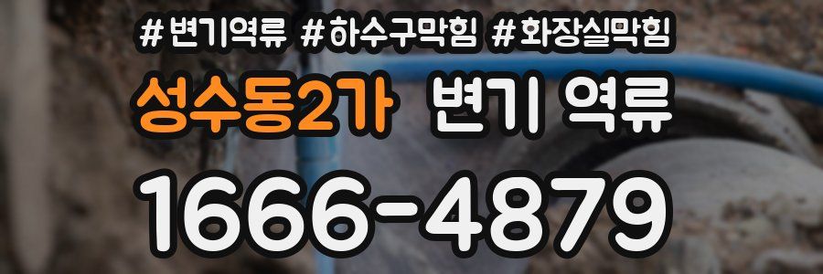 성수동2가 변기 역류