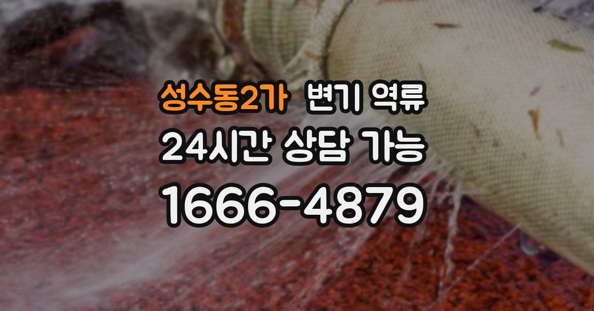 성수동2가 변기 역류