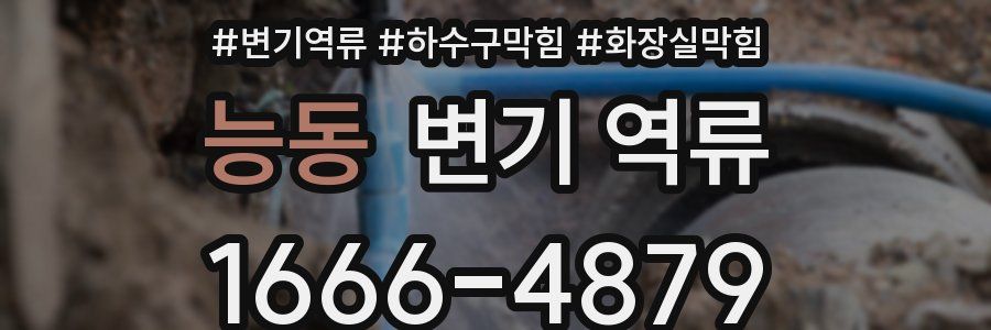 능동 변기 역류