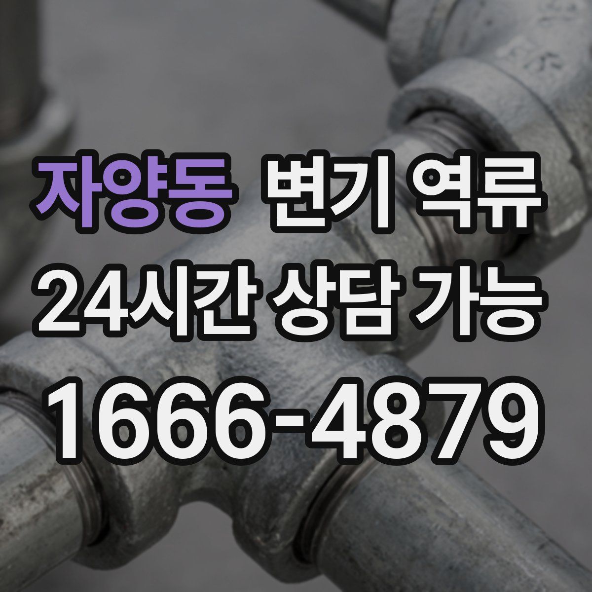 자양동 변기 역류