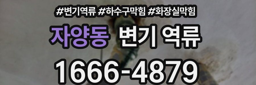 자양동 변기 역류