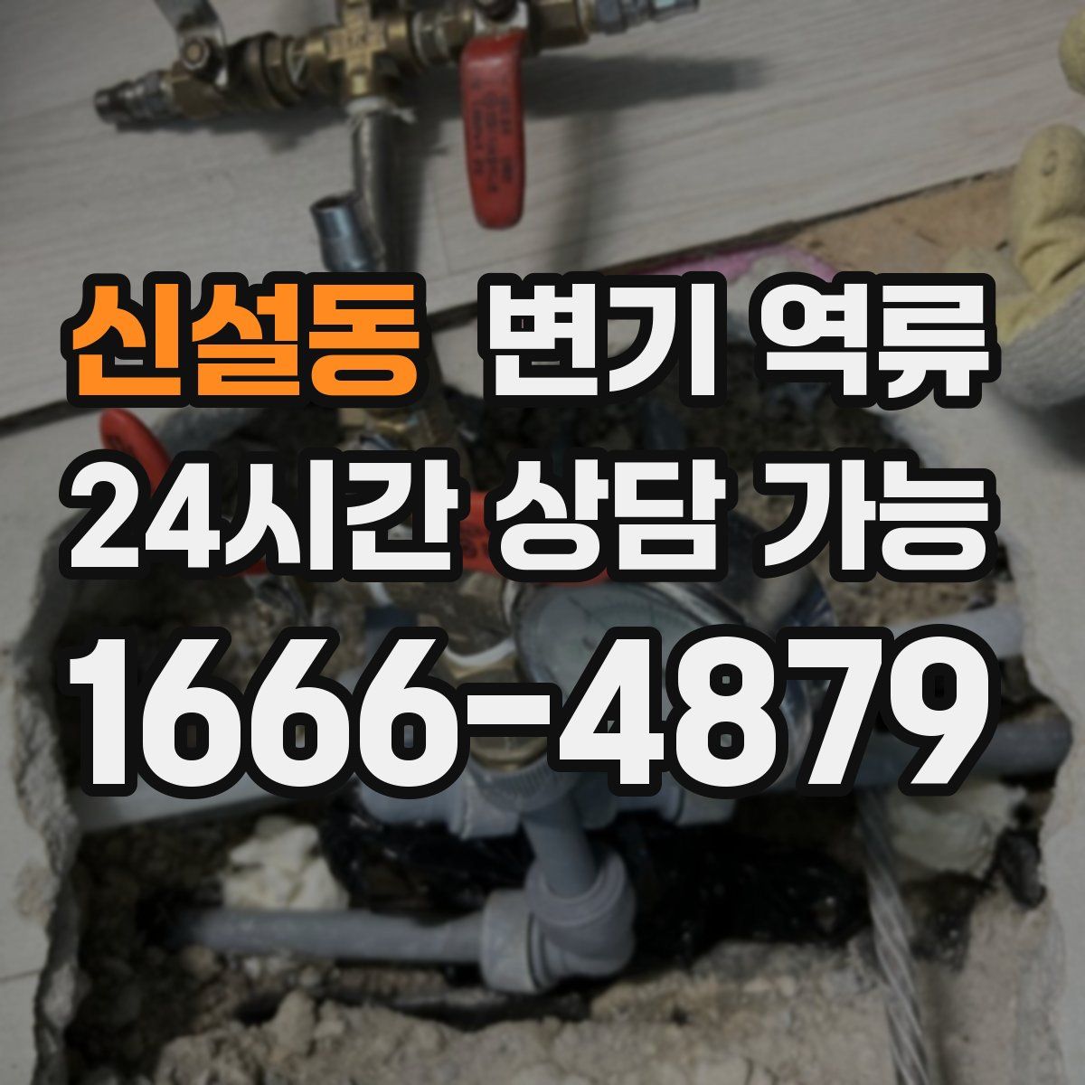 신설동 변기 역류