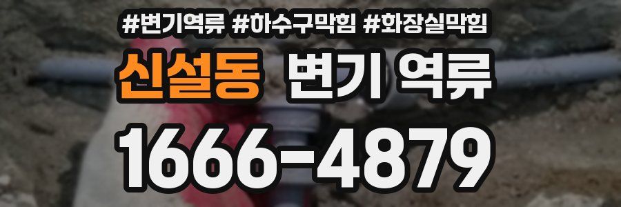 신설동 변기 역류