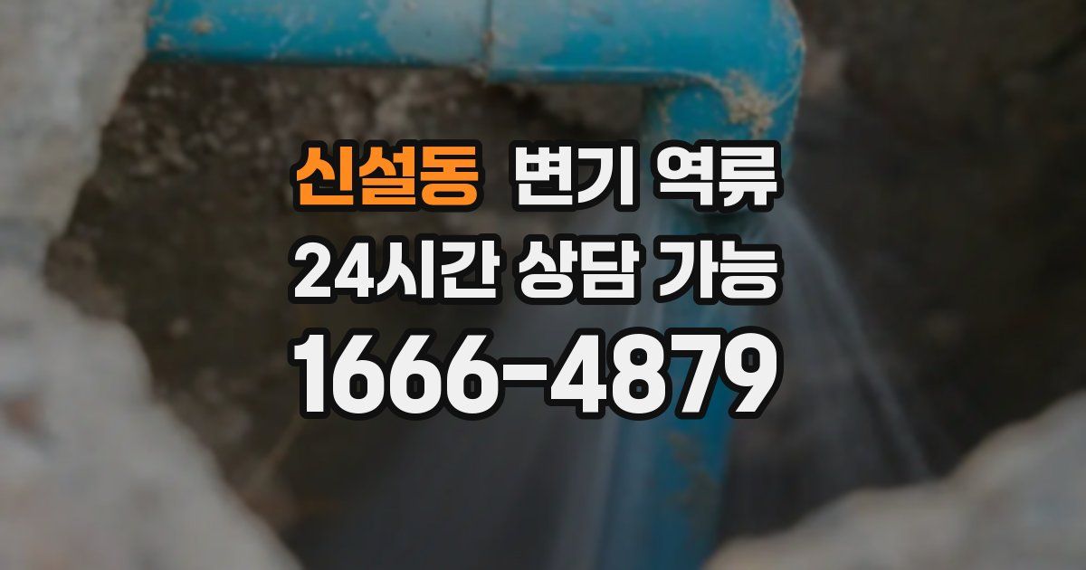 신설동 변기 역류