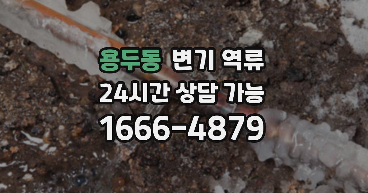 용두동 변기 역류