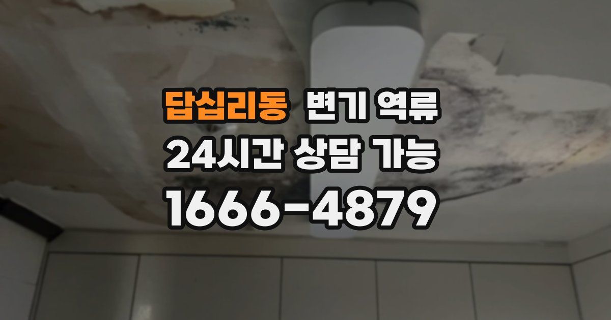 답십리동 변기 역류