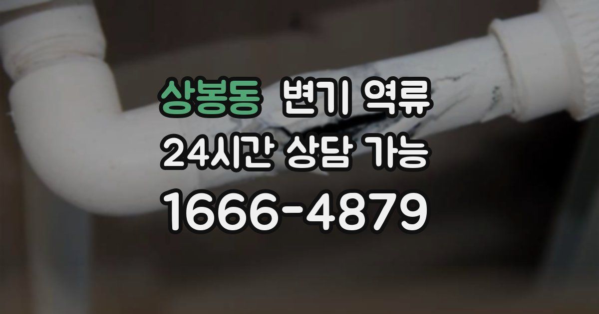 상봉동 변기 역류