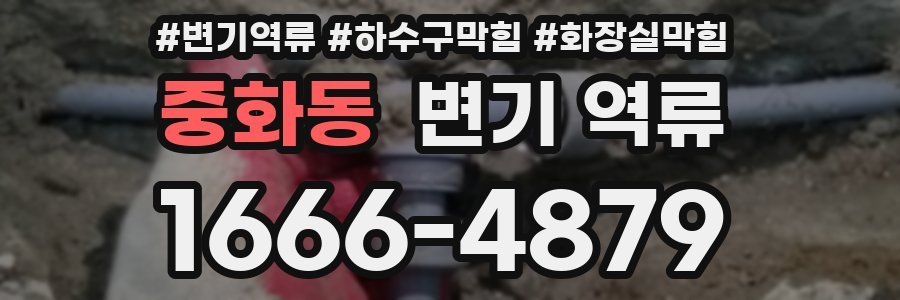 중화동 변기 역류