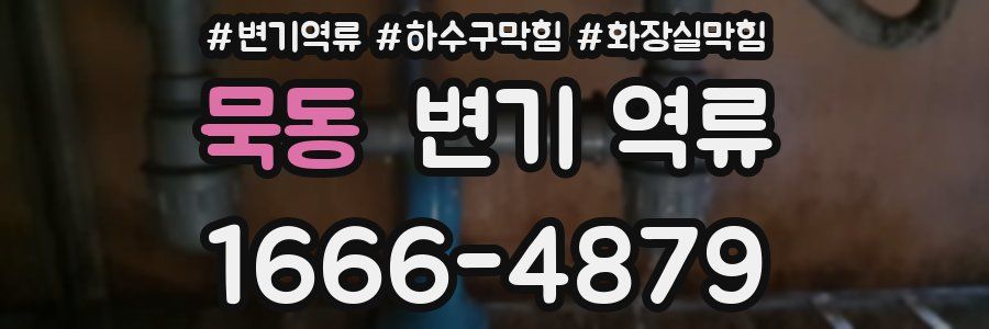 묵동 변기 역류