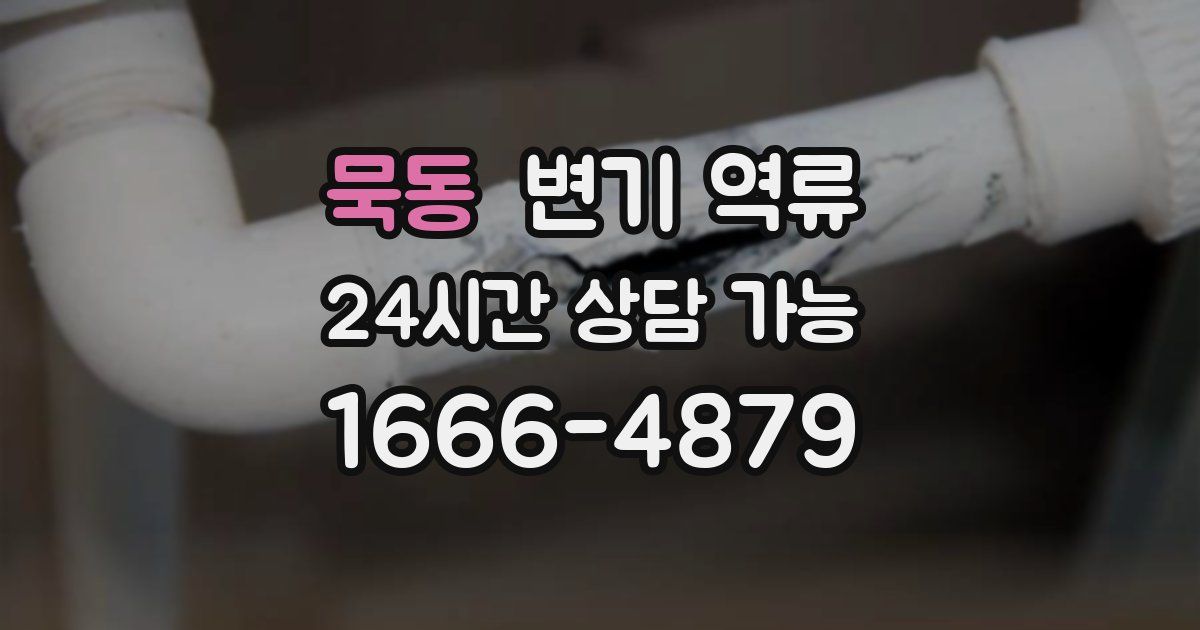 묵동 변기 역류