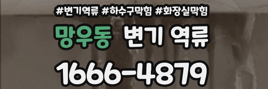 망우동 변기 역류