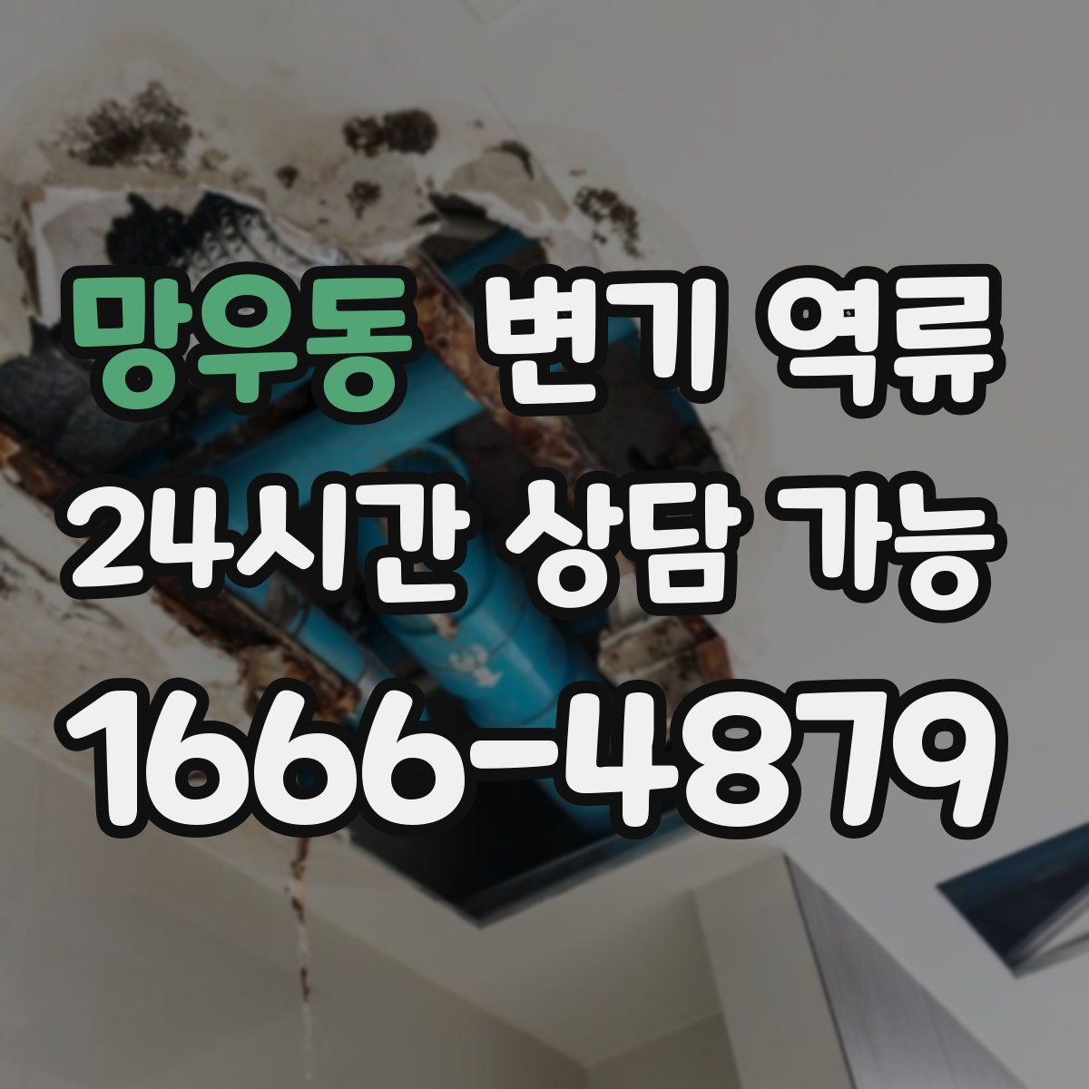 망우동 변기 역류