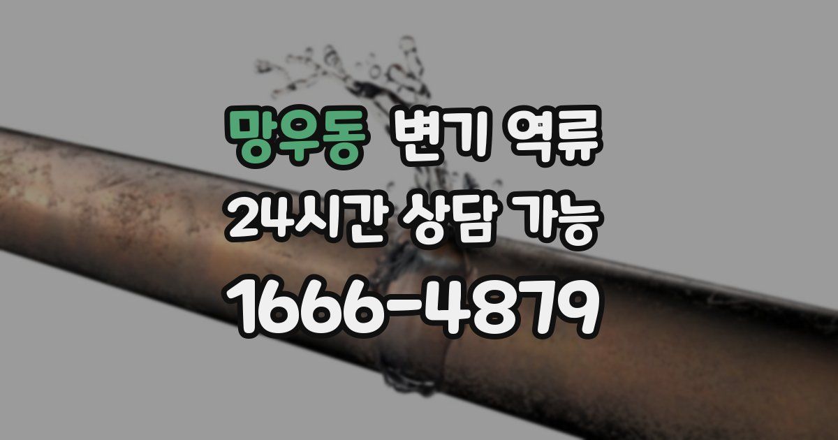 망우동 변기 역류