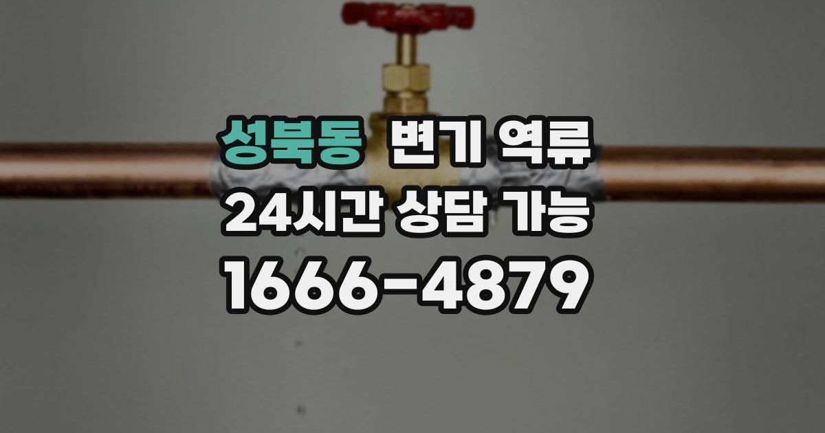 성북동 변기 역류