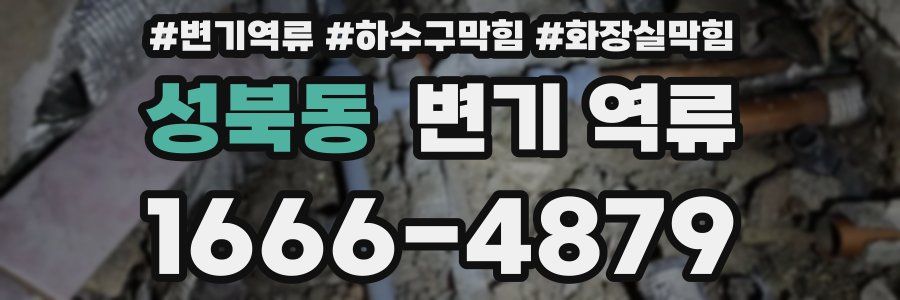 성북동 변기 역류