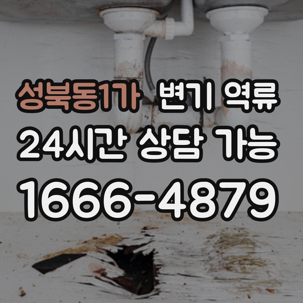 성북동1가 변기 역류