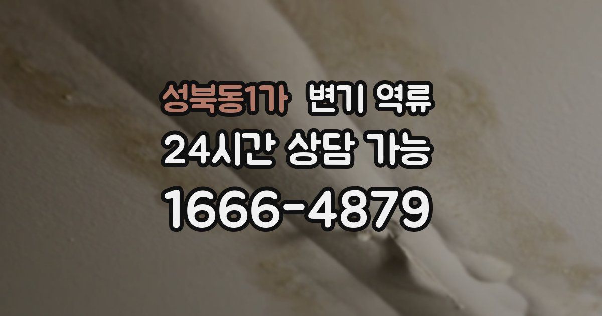 성북동1가 변기 역류