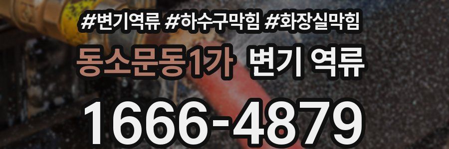 동소문동1가 변기 역류