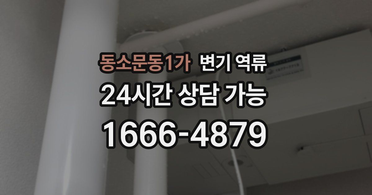 동소문동1가 변기 역류