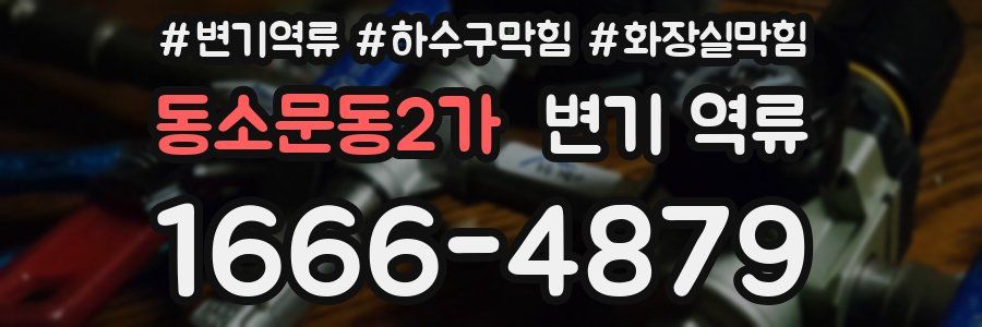 동소문동2가 변기 역류