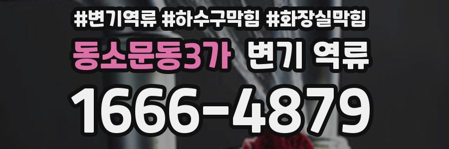 동소문동3가 변기 역류