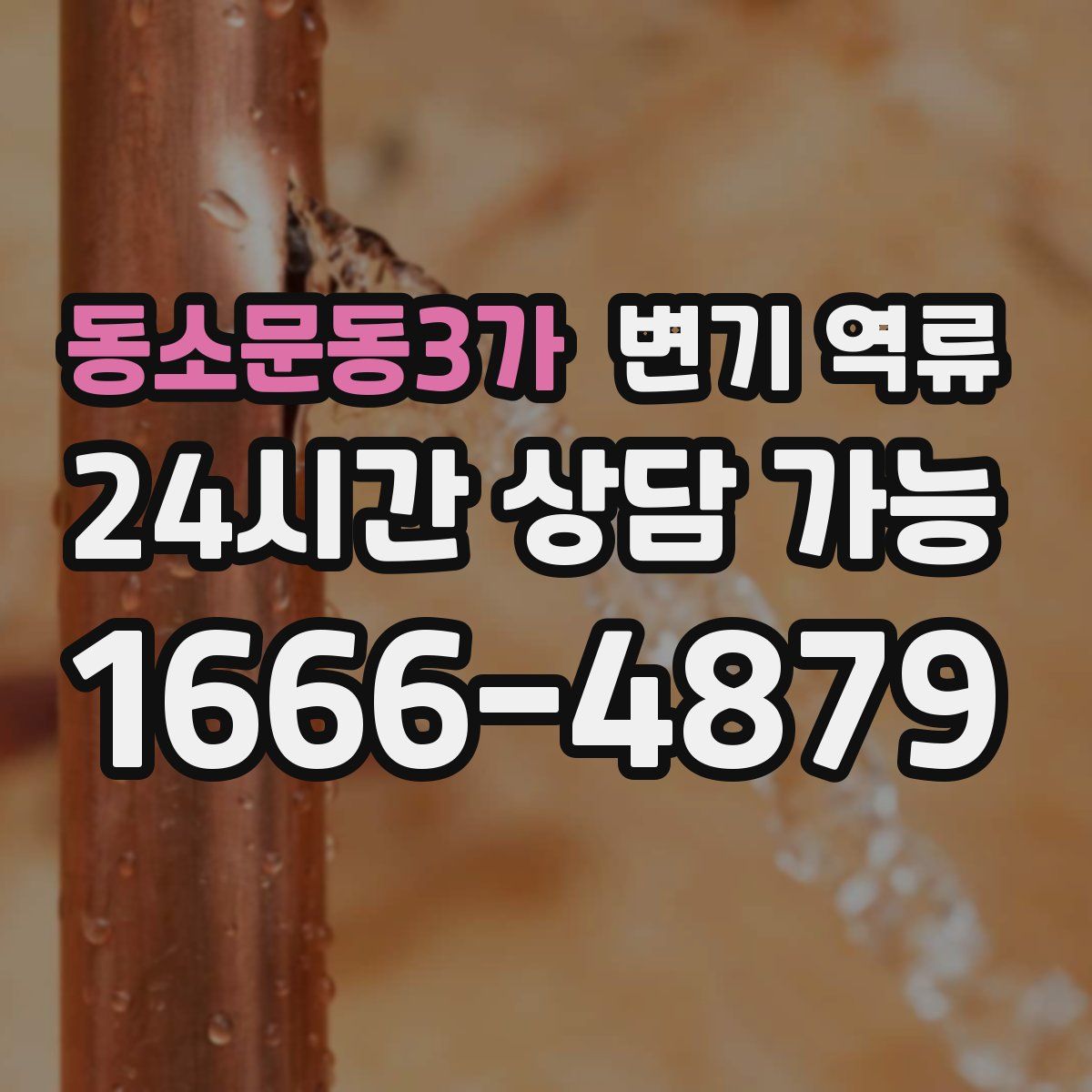 동소문동3가 변기 역류