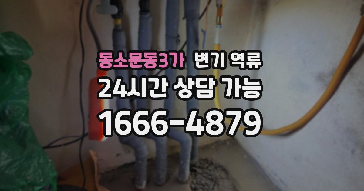 동소문동3가 변기 역류