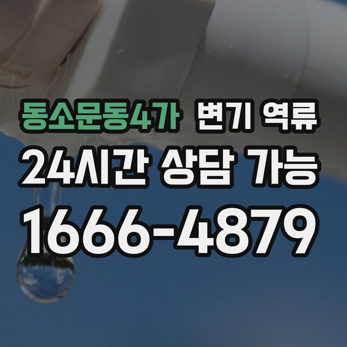 동소문동4가 변기 역류